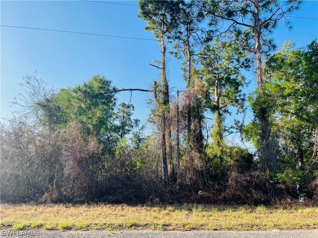 1256 Edgewood St., Lehigh Acres, FL 33974