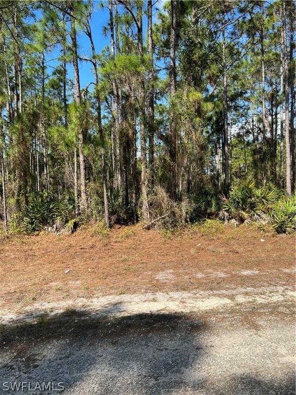 1711 Edison Ave., Lehigh Acres, FL 33972