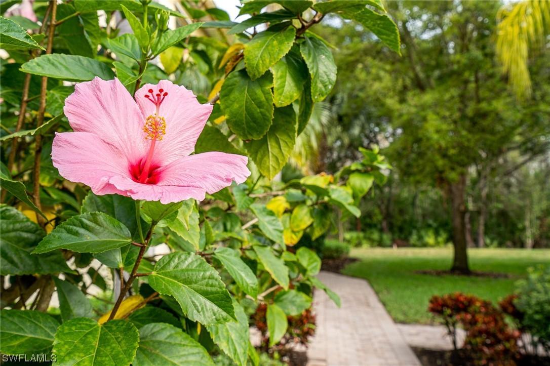 26461 Lucky Stone Rd. #202, Bonita Springs, FL 34135