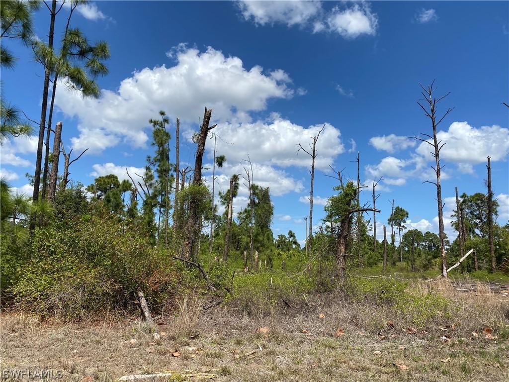 1109 Barfield St., Lehigh Acres, FL 33974