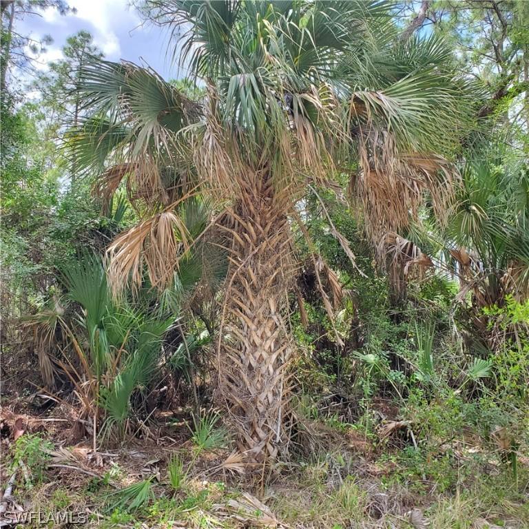 315 Virginia Way, Lehigh Acres, FL 33936