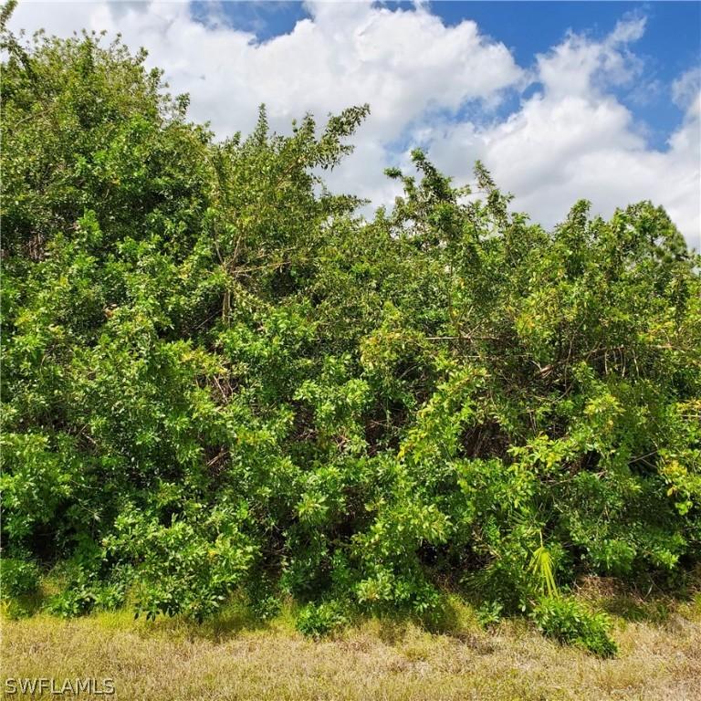 863 Clow St., Lehigh Acres, FL 33974