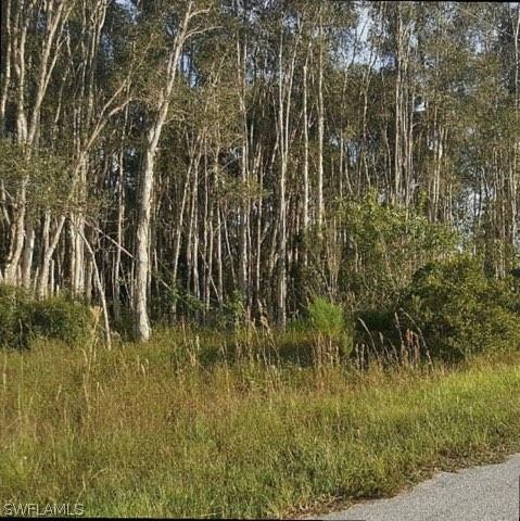 1125 Countess Ave., Lehigh Acres, FL 33974