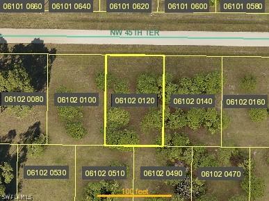 3820 NW 45th Ter., Cape Coral, FL 33993