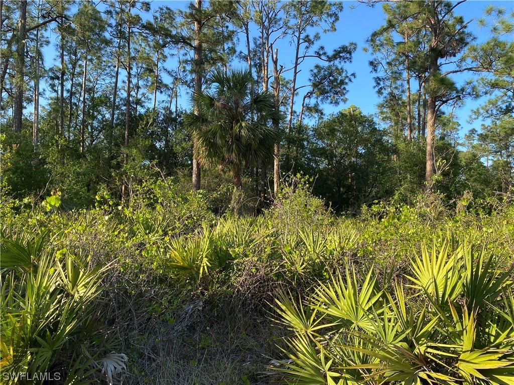 3703 E 10th St., Lehigh Acres, FL 33972