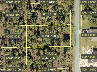 1309 Magnolia Ave., Lehigh Acres, FL 33972