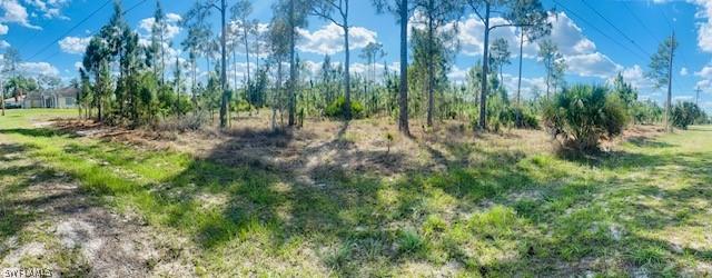 919 Jackson Ave., Lehigh Acres, FL 33972