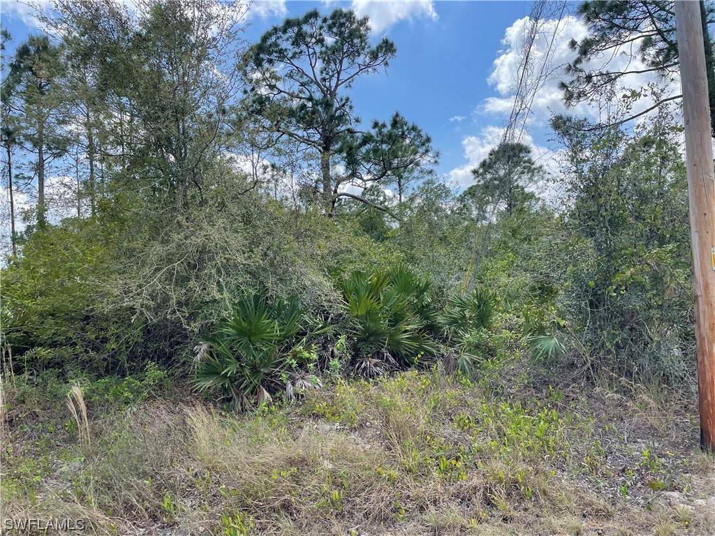 1242 Randolph St., Lehigh Acres, FL 33974