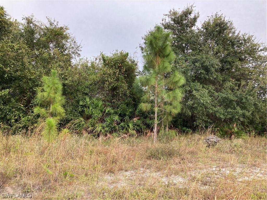 1405 W 14 St., Lehigh Acres, FL 33972