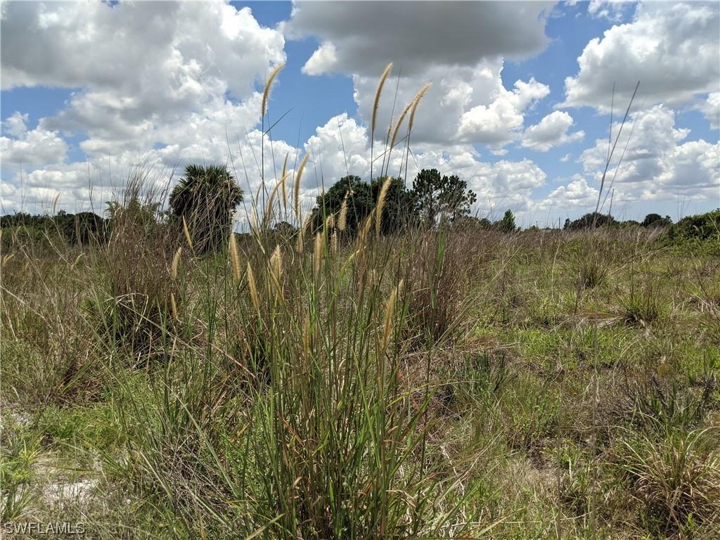 XX 58th Ave., Naples, FL 34120