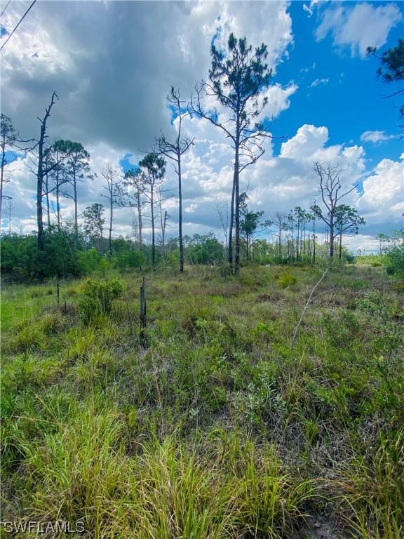 8065 Friendship Ln., Naples, FL 34120