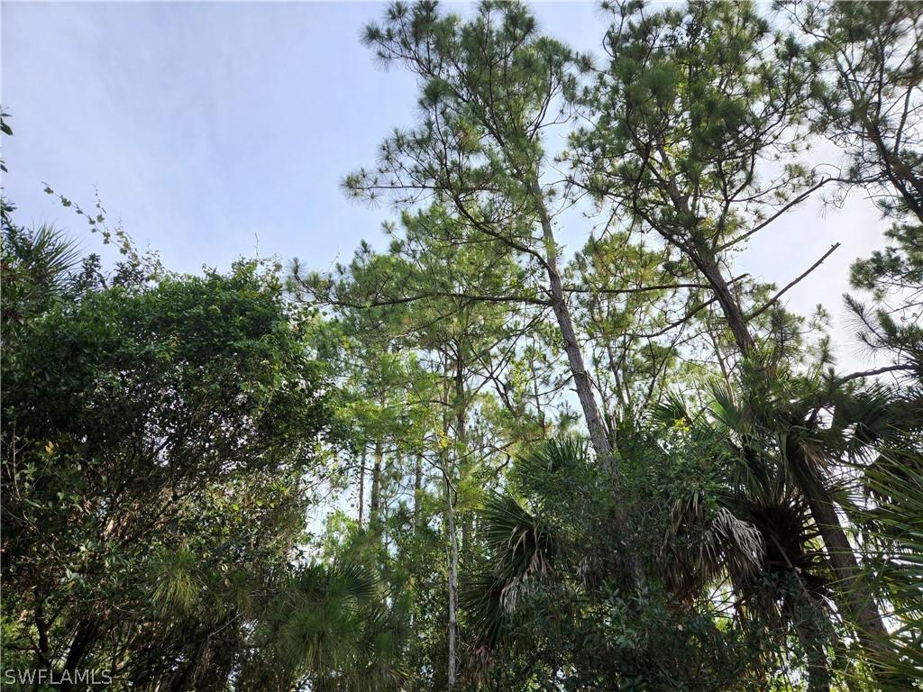 1 18th Ave., Naples, FL 34117