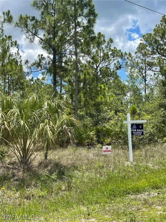 916 Congress Ave., Lehigh Acres, FL 33972