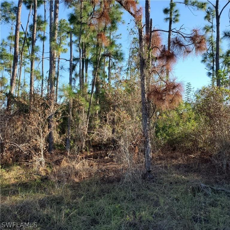 1254 Edgewood St., Lehigh Acres, FL 33974