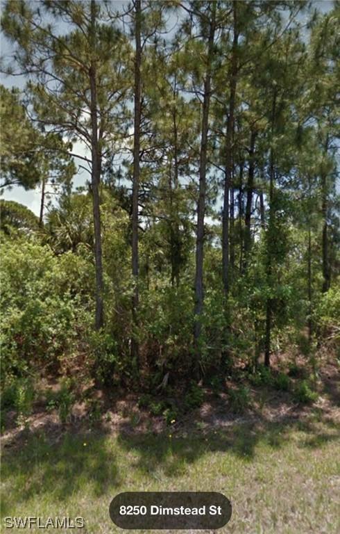 8250 Dimstead St., Port Charlotte, FL 33981
