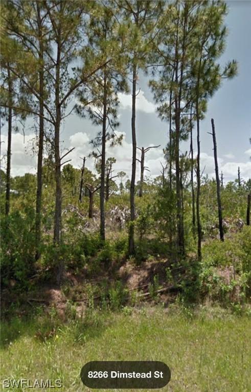 8266 Dimstead St., Port Charlotte, FL 33981