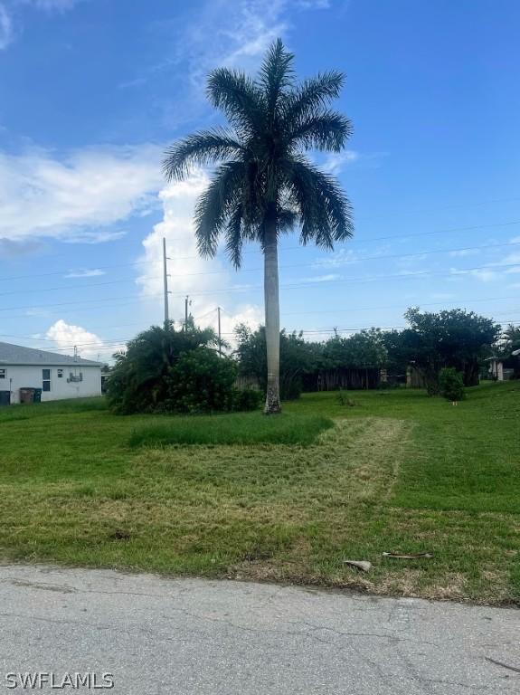 2915/2917 SW Santa Barbara Pl., Cape Coral, FL 33914