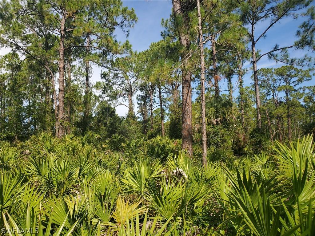 1302 Louis Ave., Lehigh Acres, FL 33972