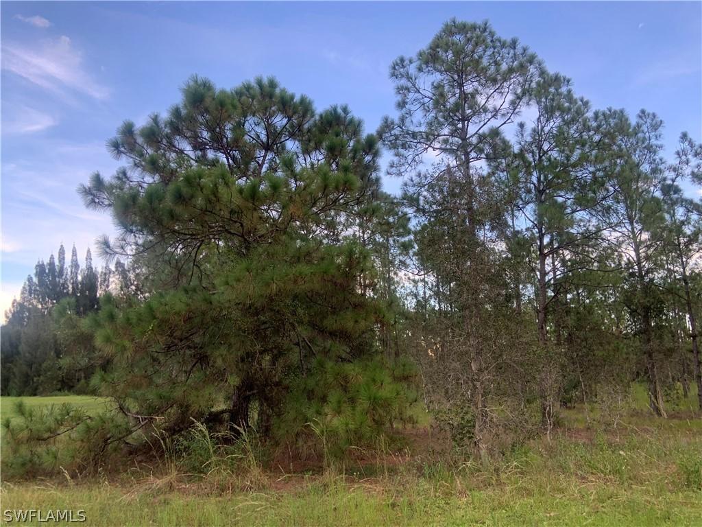 1306 Mcarthur Ave., Lehigh Acres, FL 33972