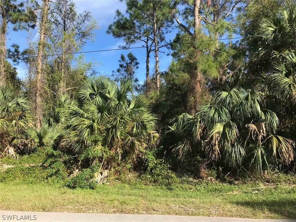 31st St., Naples, FL 34117