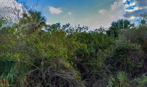 3111 33rd St., Lehigh Acres, FL 33976