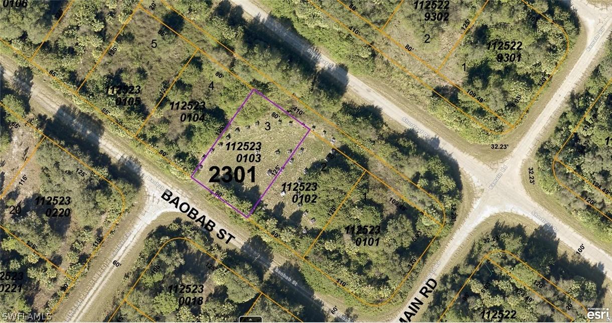 1125230103 Baobob St., North Port, FL 34288