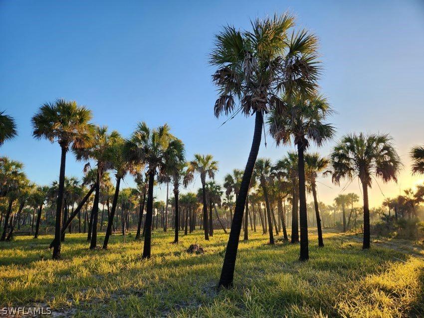 Ivy Way, Naples, FL 34117