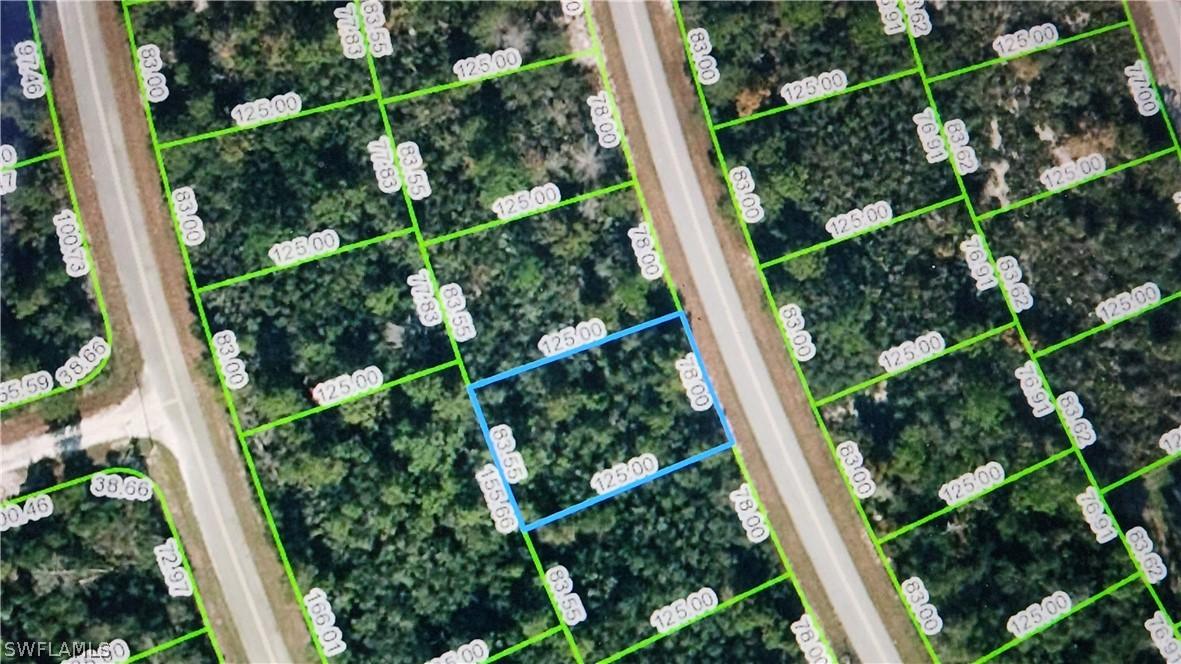 121 Fillmore Ave., Lake Placid, FL 33852