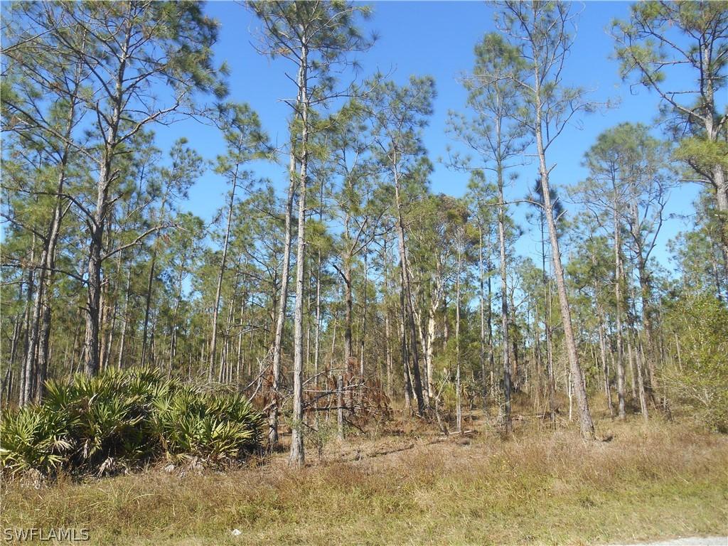 1319 Jackson Ave., Lehigh Acres, FL 33972