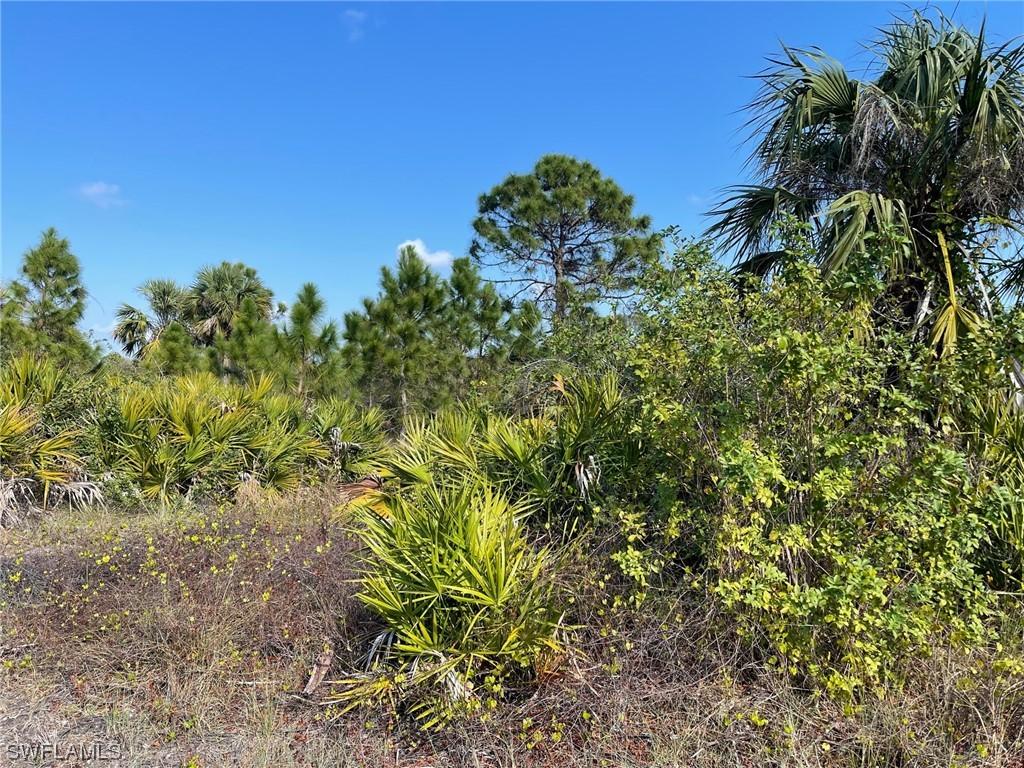 2100 W 11th St., Lehigh Acres, FL 33972