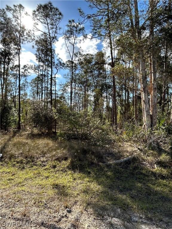 1314 Maple Ave., Lehigh Acres, FL 33972