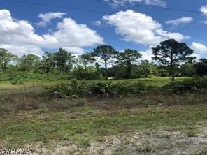 1045 Butler St., Lehigh Acres, FL 33974