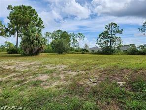 2537 NW 19th Ave., Cape Coral, FL 33993