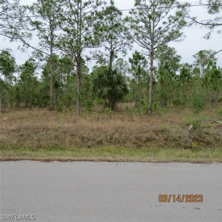 1117 Mcarthur Ave., Lehigh Acres, FL 33936