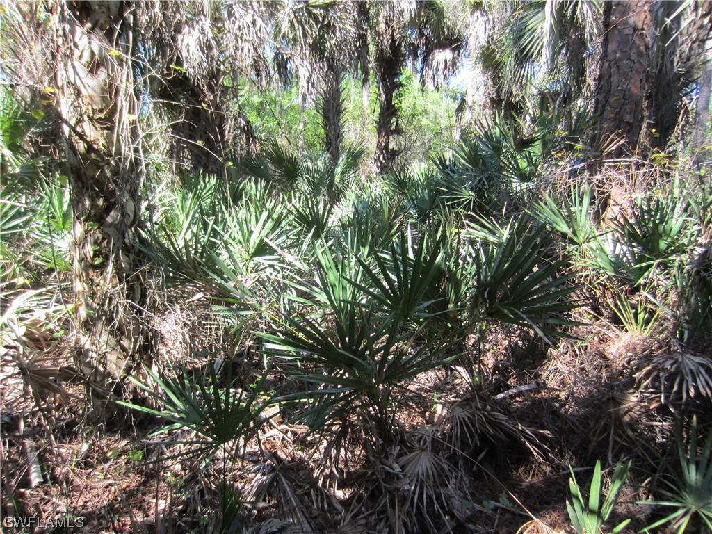 37th Ave., Naples, FL 34120