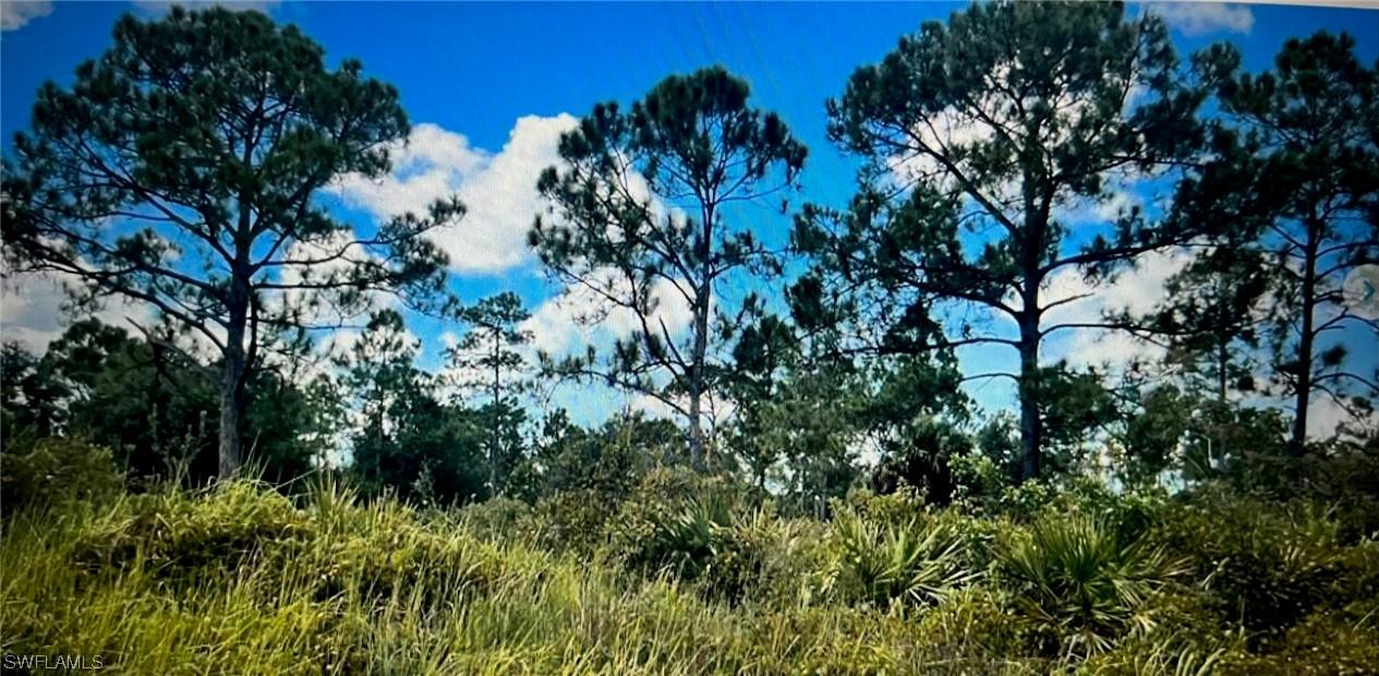 807 Monroe Dr., Lehigh Acres, FL 33936