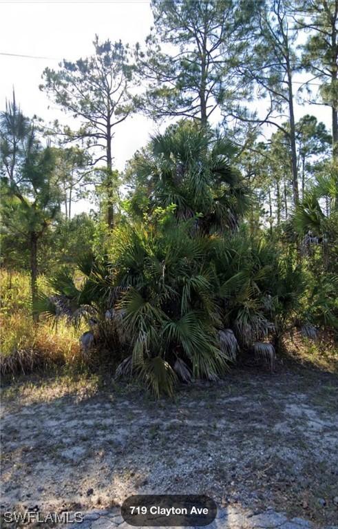 719 Clayton Ave., Lehigh Acres, FL 33972