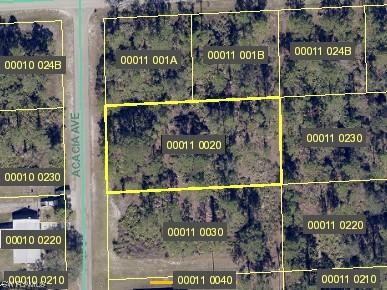 1620 Acacia Ave., Lehigh Acres, FL 33972