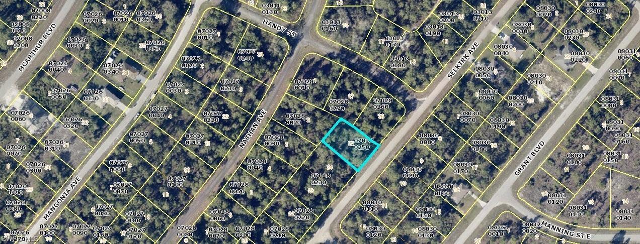 350 Selkirk Ave., Lehigh Acres, FL 33974