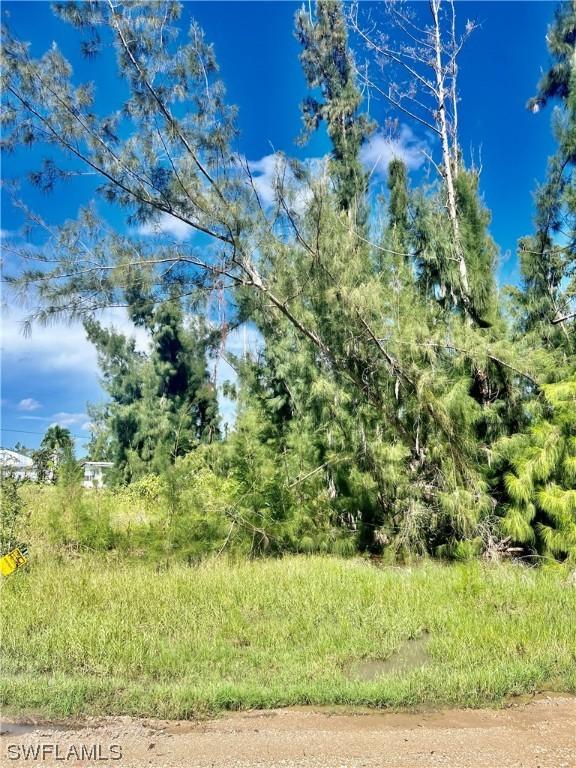 11811 Pompano Ave., Cape Coral, FL 33991