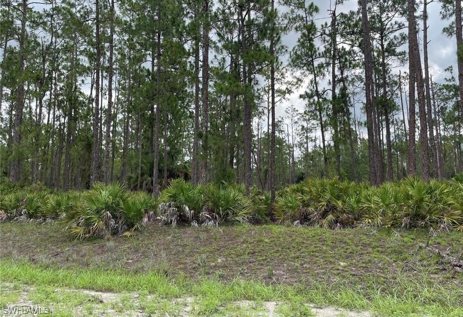 20 Wells Ave., Lehigh Acres, FL 33936