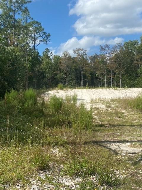 2729 Wilson Blvd., Naples, FL 34120