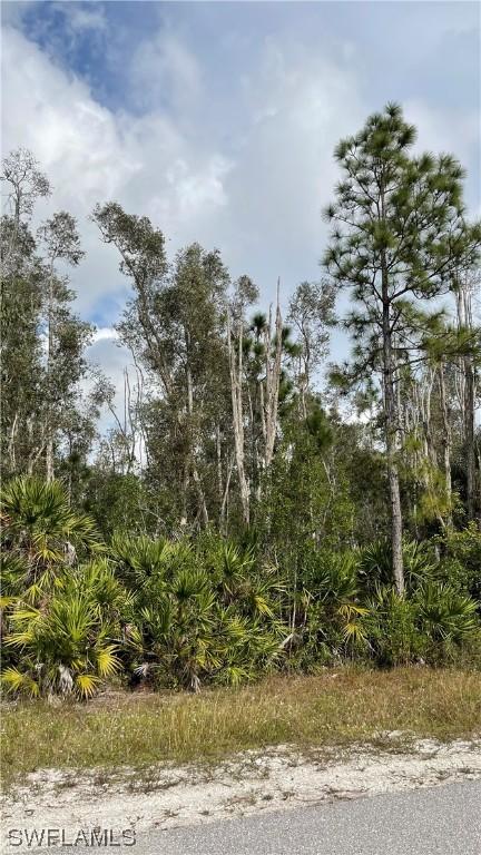 2739 Meadow Rd., Lehigh Acres, FL 33974