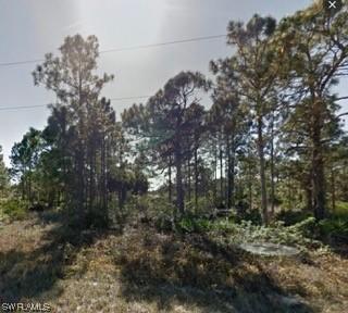 1226 Count St., Lehigh Acres, FL 33974