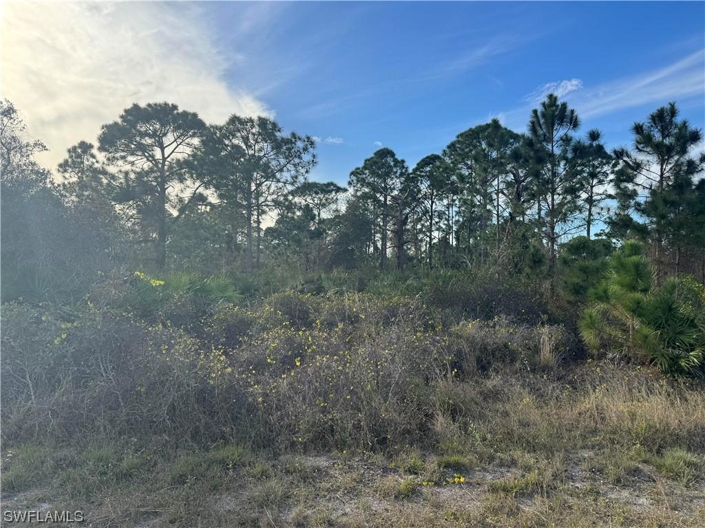 718 Drury Ave., Lehigh Acres, FL 33974