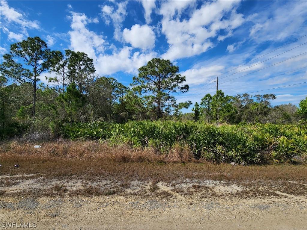 2101 W 17th St., Lehigh Acres, FL 33972