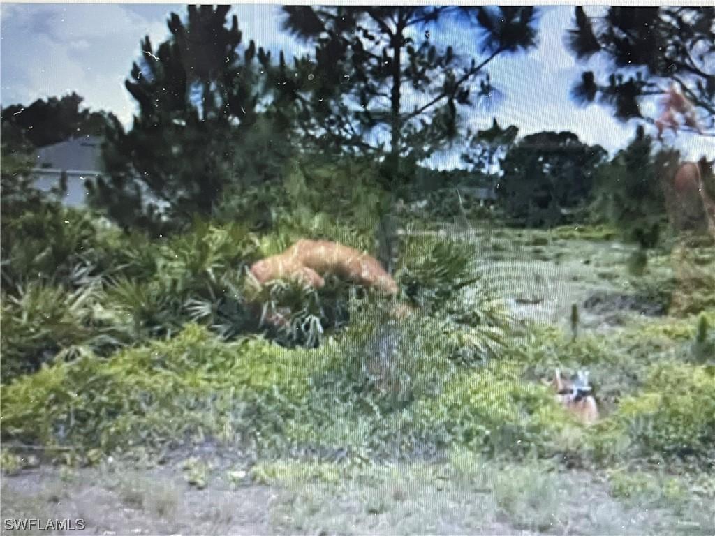 740 Newhall St., Lehigh Acres, FL 33974