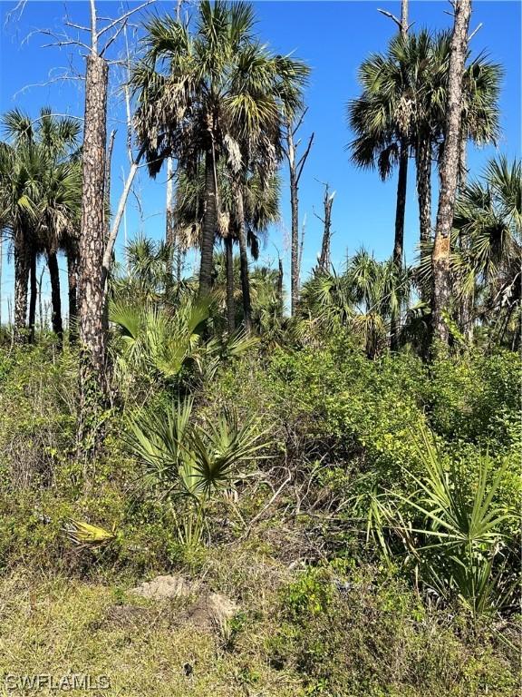 [Address Unavailable], Naples, FL 34117