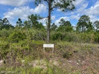 1223 Lincoln Ave., Lehigh Acres, FL 33972