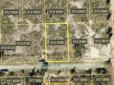 2904 58th St., Lehigh Acres, FL 33971